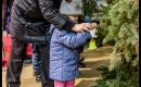 Advent a Vánoce