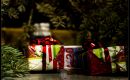 Advent a Vánoce