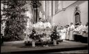Advent a Vánoce