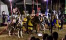 Znojemské historické vinobraní 11. - 13. 9.